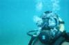 Diving off Creole Rock, Guadeloupe