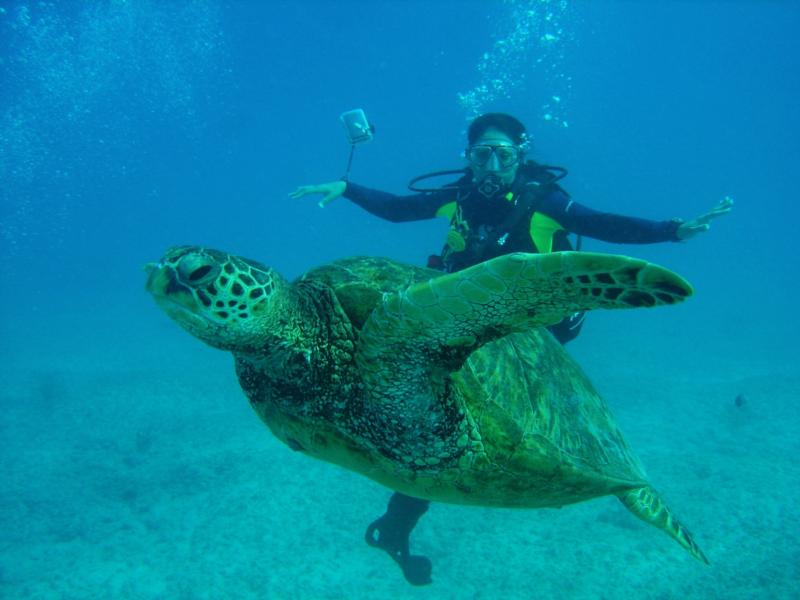 Adriana & Giant Turtle of Waikiki, Hawaii