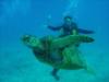 Adriana & Giant Turtle of Waikiki, Hawaii
