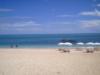 Yorons star sand beach (sand is real star shape)