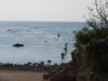 Channel Crevis in Itoman