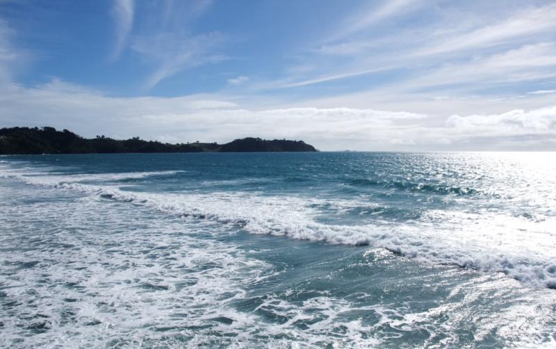 NZ - WAIHEKE ISLAND 