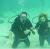 diving in bahamas