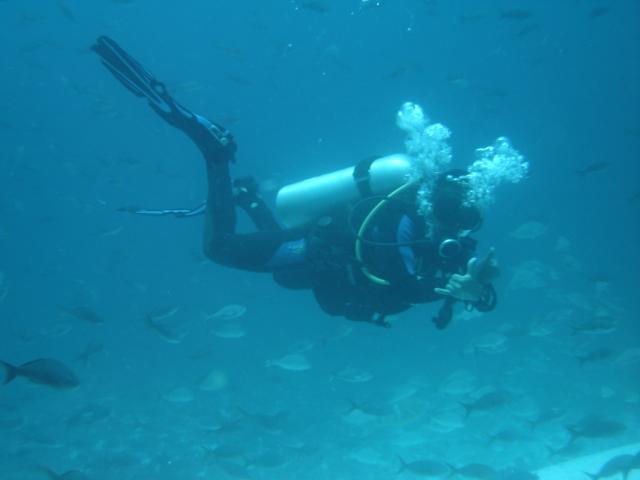 Scuba at Gordon Rocks