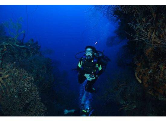 Puerto Rico Dive 2010