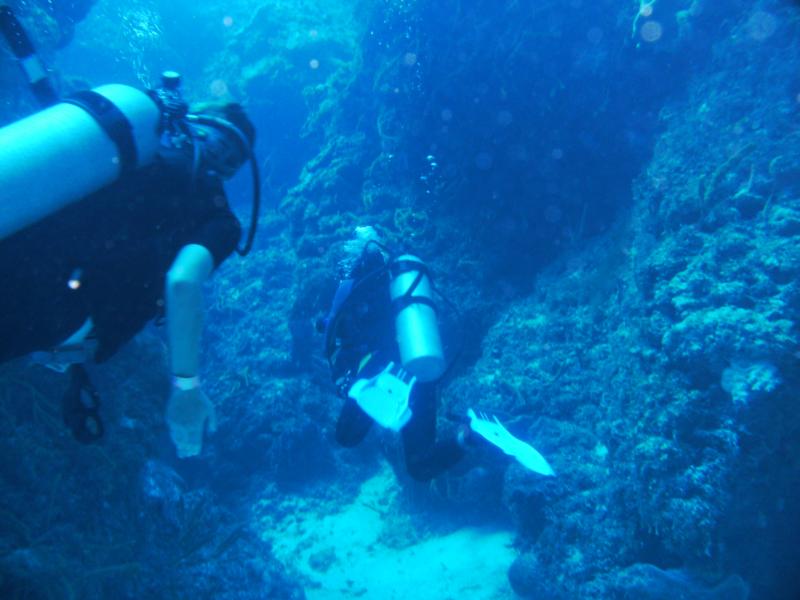 coral formations, Palancar bricks cozumel