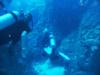 coral formations, Palancar bricks cozumel