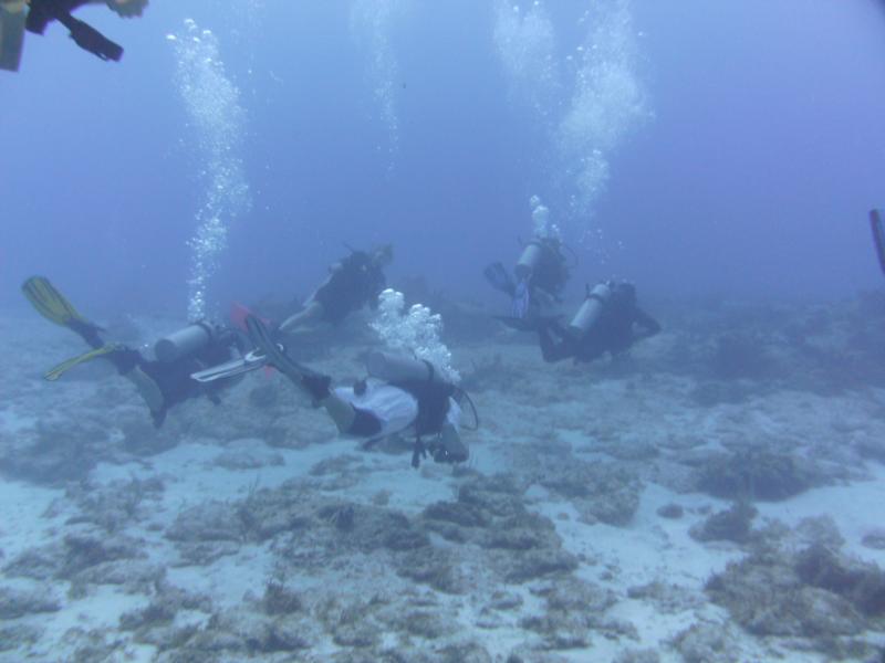 Great place to be Cozumel (Palancar Horseshoe) 