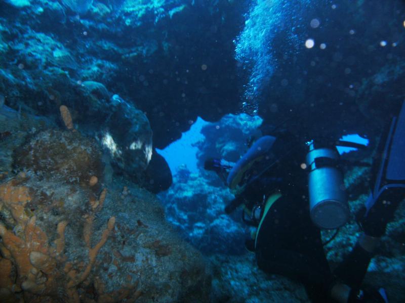 cool swim throughs, Palancar Bricks, Cozumel