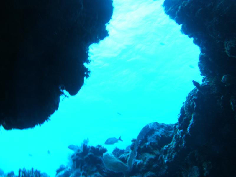 more swim throughs, Palancar, Cozumel