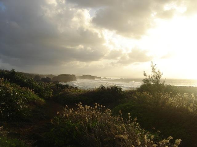 Yes...I took these pictures..gotta love Okinawa