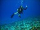 In my element in Cozumel