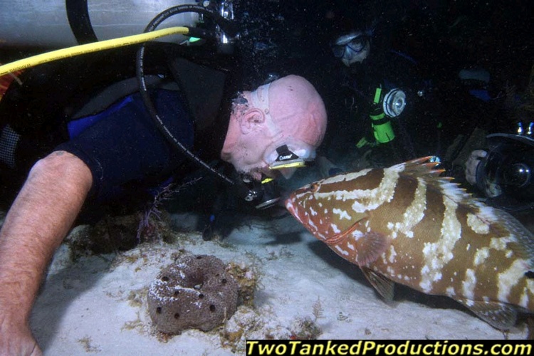 George and the Grouper W Caicos key