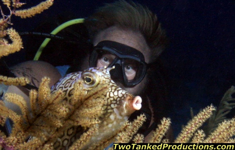 Tony & Trunkfish W Caicos T & C