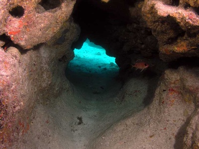 Swim through near Bimini`s Turtle Rocks