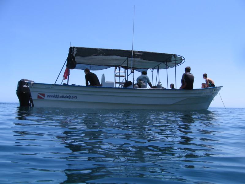 Baja Divin