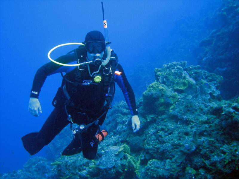 Cozumel Reefs