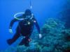 Cozumel Reefs