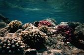 underwater