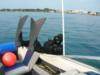 Chris starting a drift dive in the St.Clair River