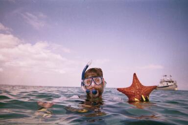 Steve (digicus) starfish in Abacos