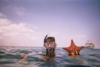 Steve (digicus) starfish in Abacos