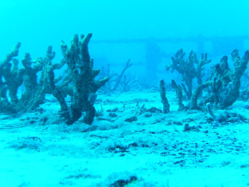 Spiegel Grove Wreck - Key Largo - 136’