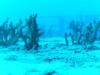 Spiegel Grove Wreck - Key Largo - 136’