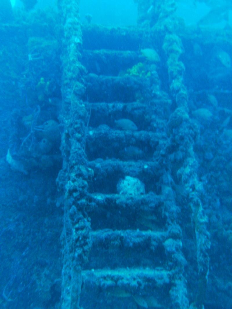 USCG Duane Wreck - Key Largo, FL - 120’