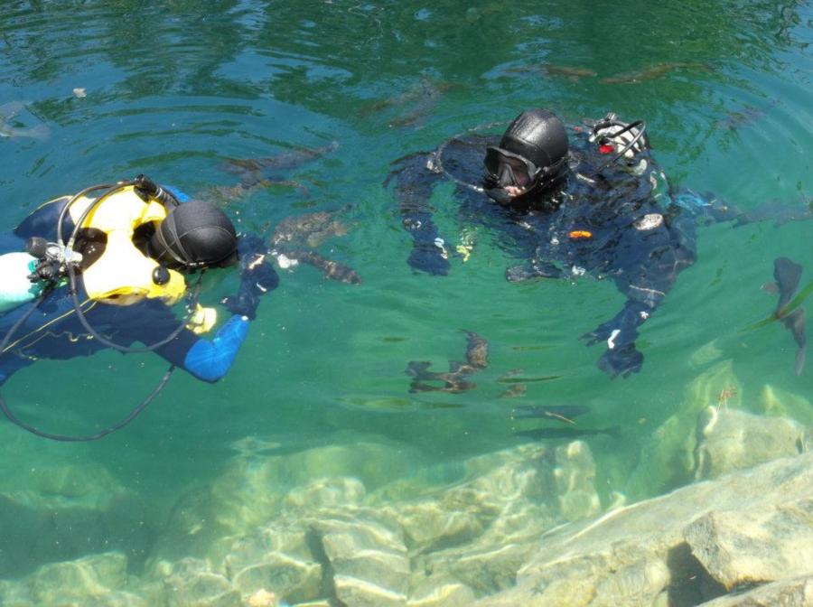 My son and I feeding the fish