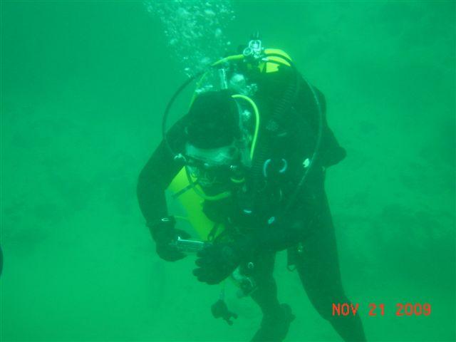 just diving
