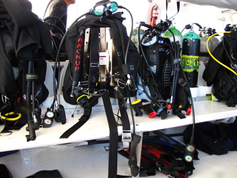 My Dive Rite Gear