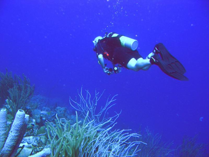 Me diving in Bonaire