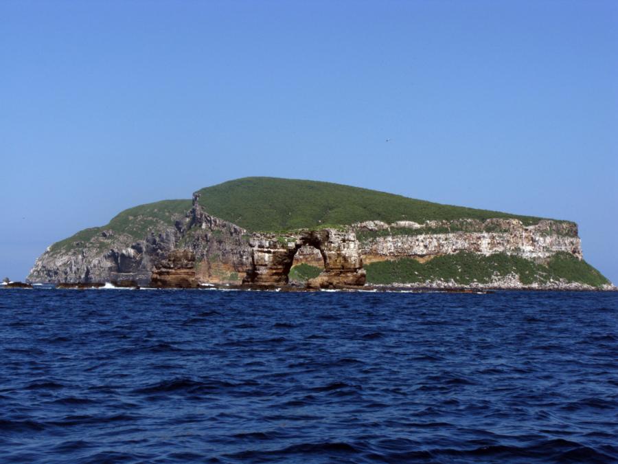 Darwin Island