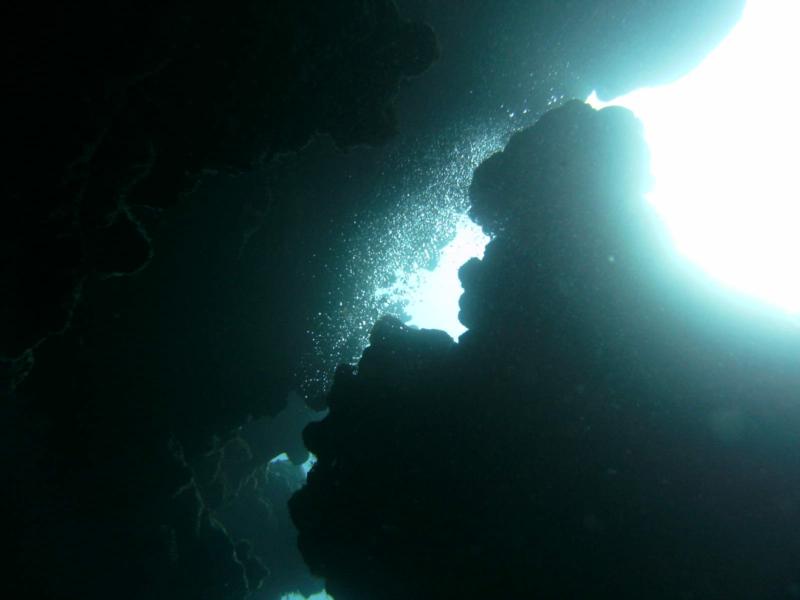 looking up from the ocean floor