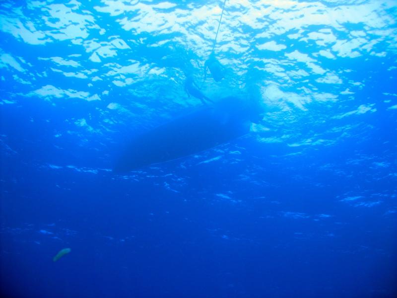 Under the Boat