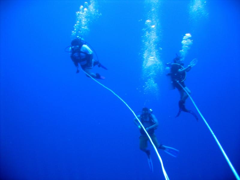 Diving at 70 feet in 3000 feet of water for class. Good Times