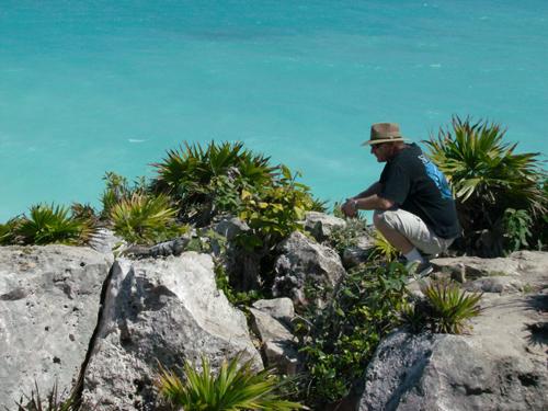 me with iguana in playa del carmen