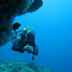 Similan Diving