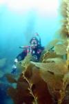 me in the kelp