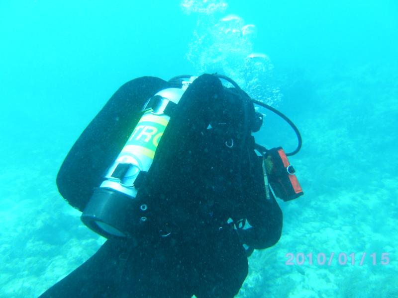 Dive BuddyKey Largo