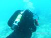 Dive BuddyKey Largo