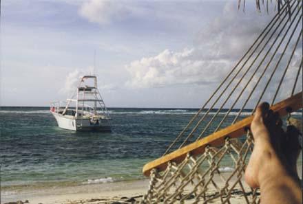 Life of Diver- Cayman Brac Reef Resort