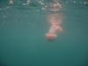 Purple Striped Jellyfish, USS Palawan