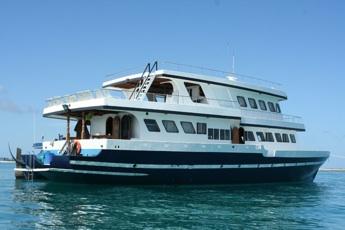 sting ray liveaboard