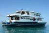 sting ray liveaboard