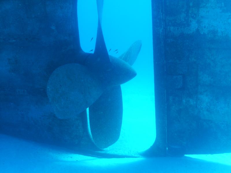 Former USS Kittiwake Propeller- Grand Cayman