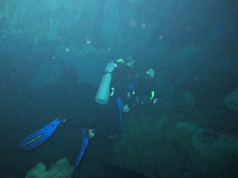 Cenotes March 2010