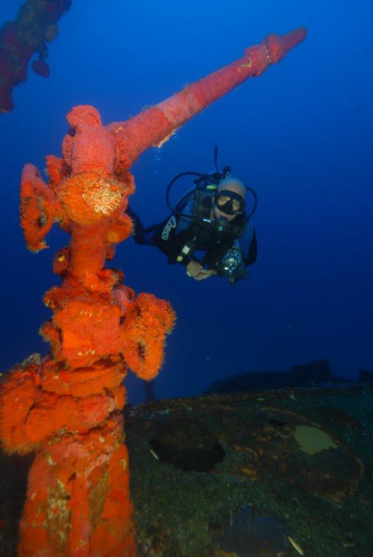 david- Fernando de noronha