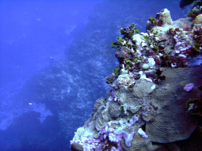 Underwater Mountains